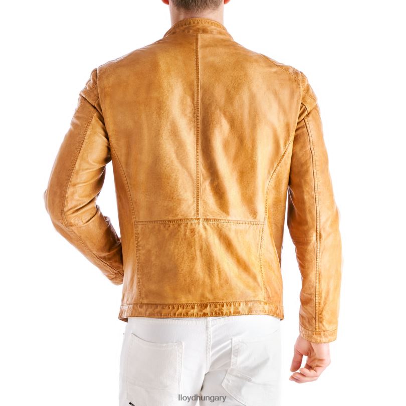 ruházat HU LLOYD férfiak Emiliano sárga 6444N629