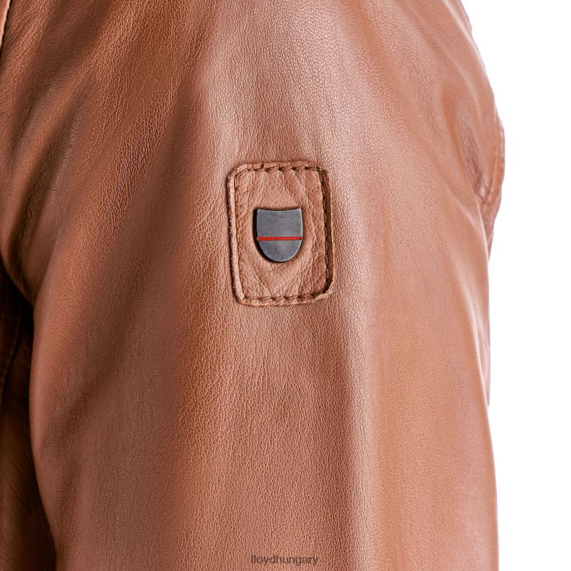 ruházat HU LLOYD férfiak marlon barna 6444N630