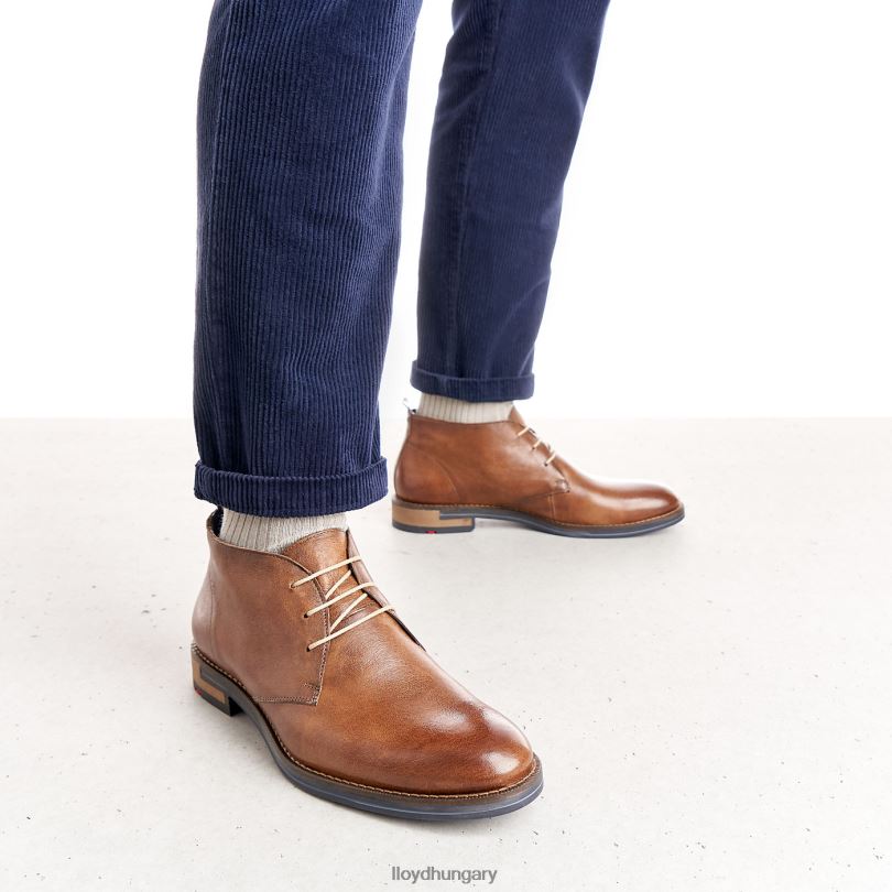 cipő HU LLOYD férfiak Daniel barna 6444N549