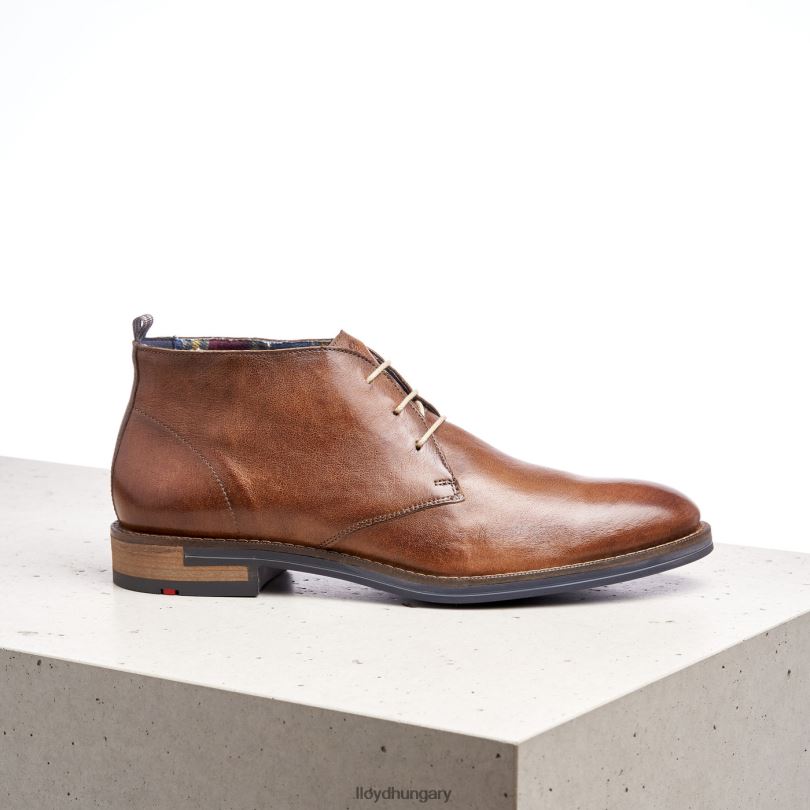 cipő HU LLOYD férfiak Daniel barna 6444N549