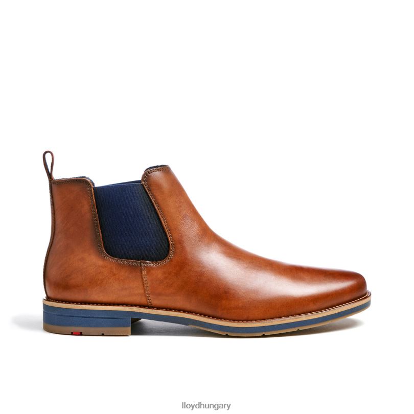 cipő HU LLOYD férfiak Lawrence barna 6444N453