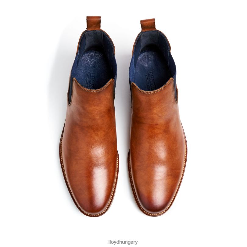 cipő HU LLOYD férfiak Lawrence barna 6444N453