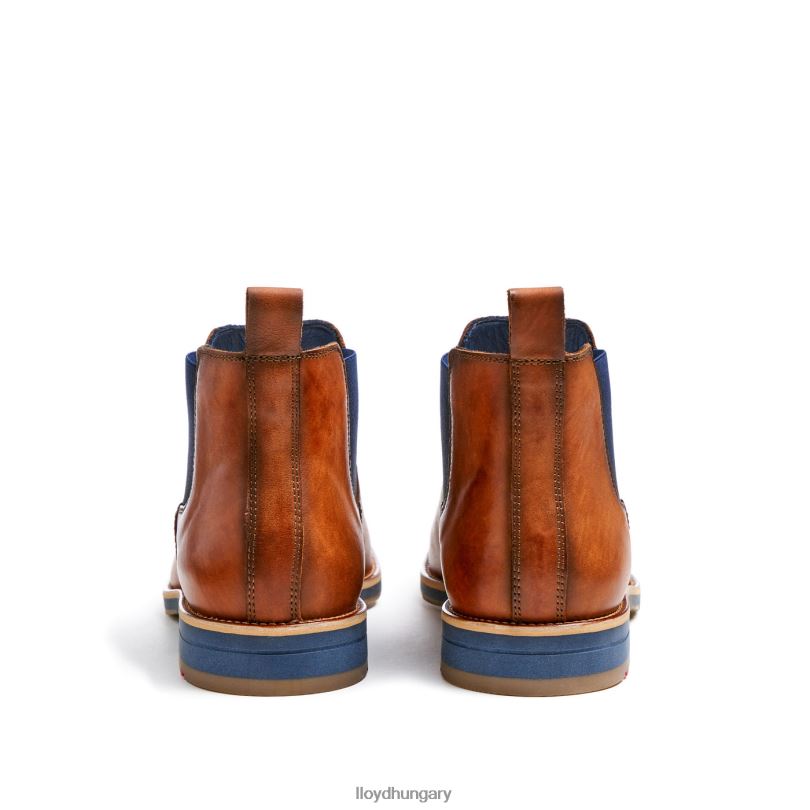 cipő HU LLOYD férfiak Lawrence barna 6444N453