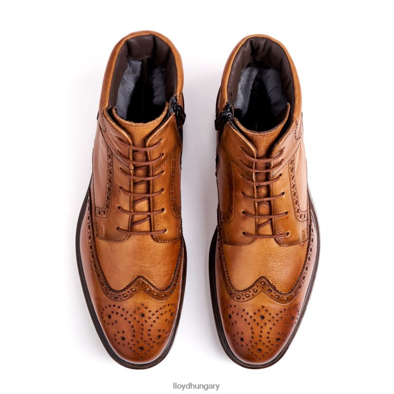 cipő HU LLOYD férfiak Osko barna 6444N502