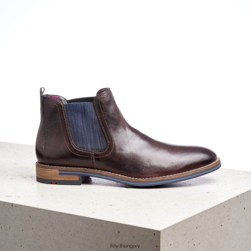 cipő HU LLOYD férfiak dario barna 6444N1342