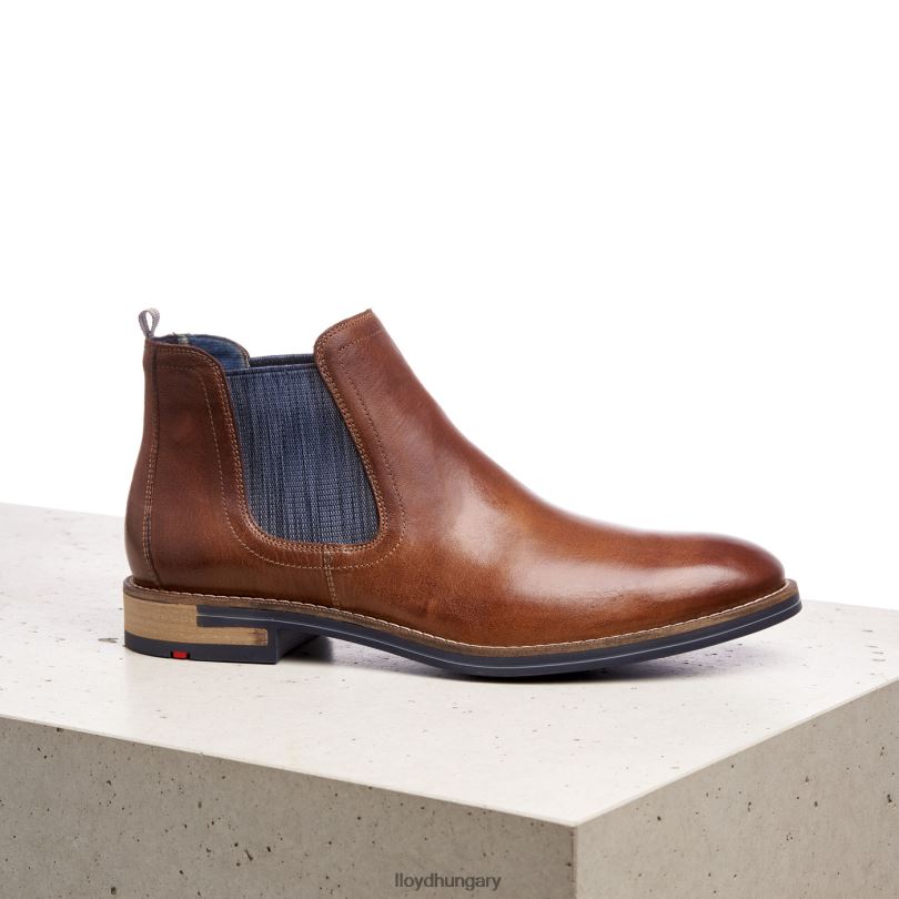 cipő HU LLOYD férfiak dario barna 6444N1343