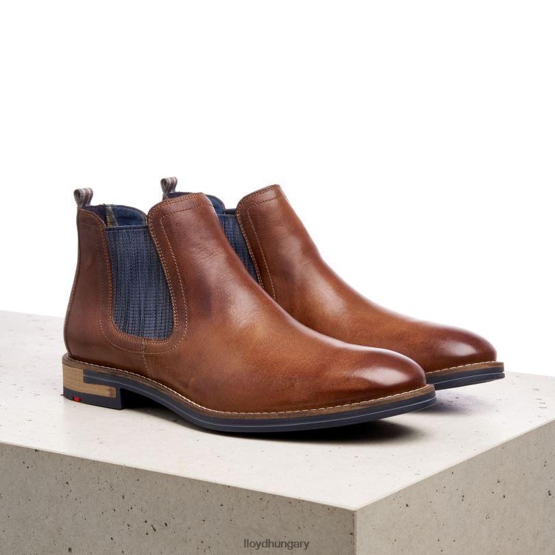 cipő HU LLOYD férfiak dario barna 6444N1343