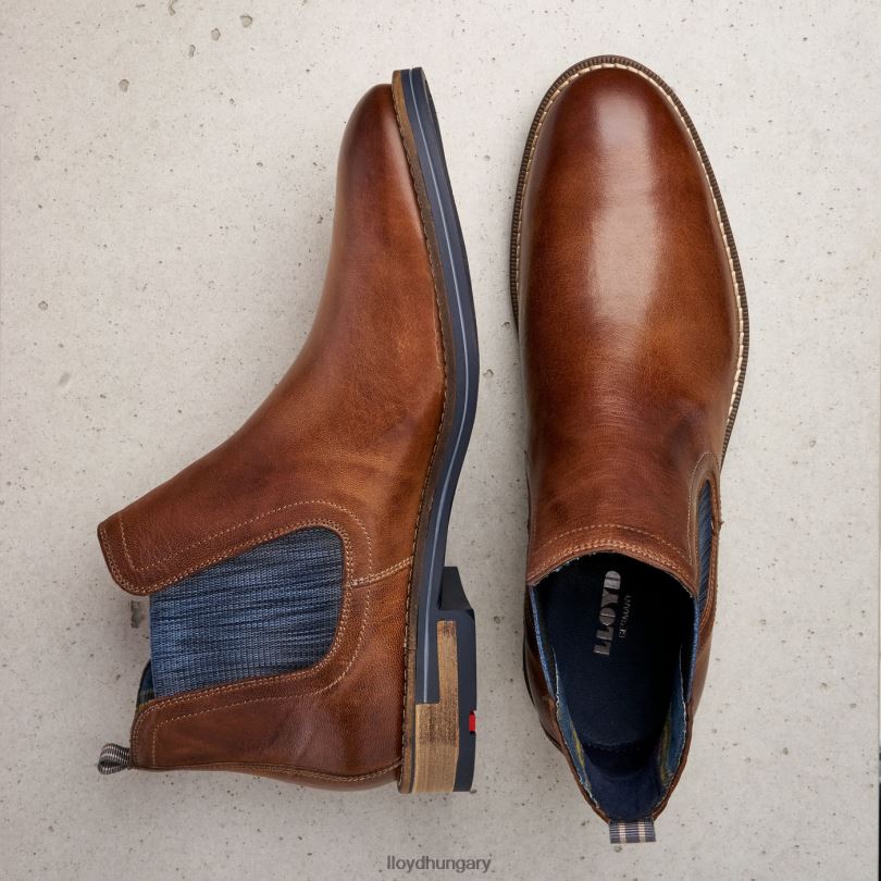 cipő HU LLOYD férfiak dario barna 6444N1343