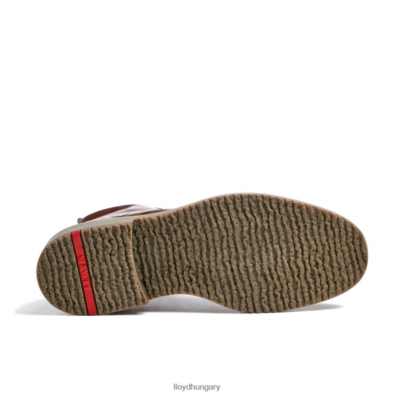 cipő HU LLOYD férfiak darwin barna 6444N475