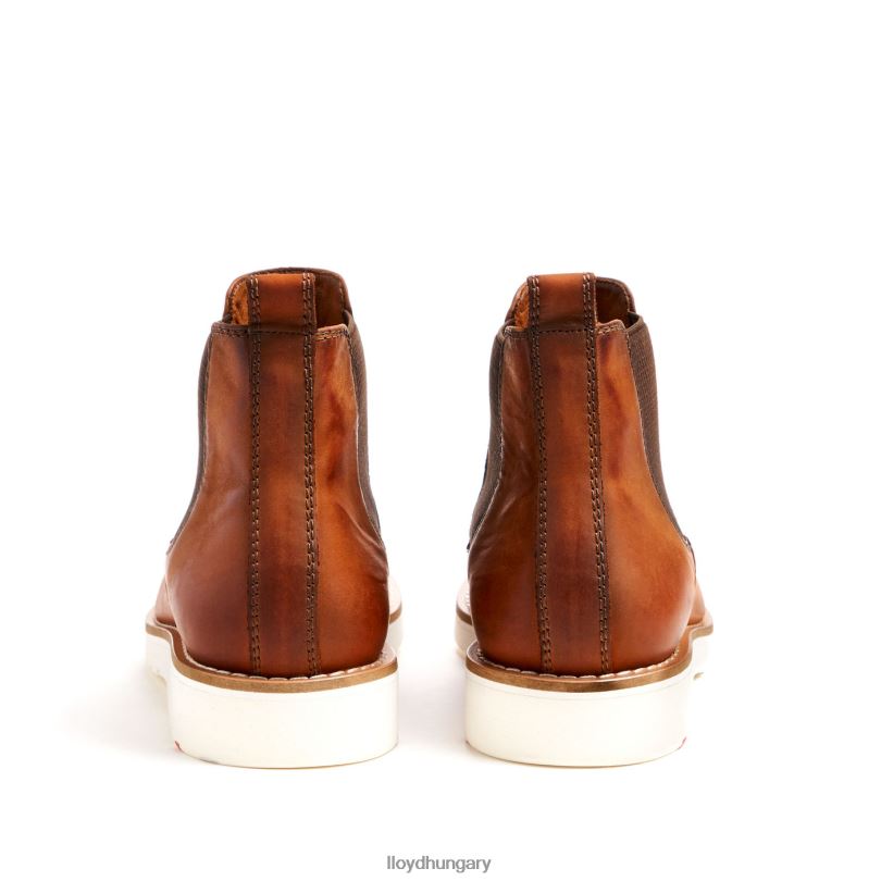 cipő HU LLOYD férfiak denton barna 6444N477