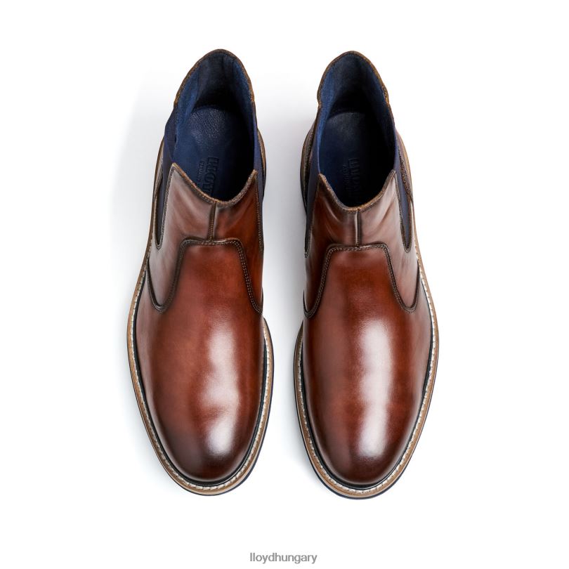 cipő HU LLOYD férfiak dexter barna 6444N469