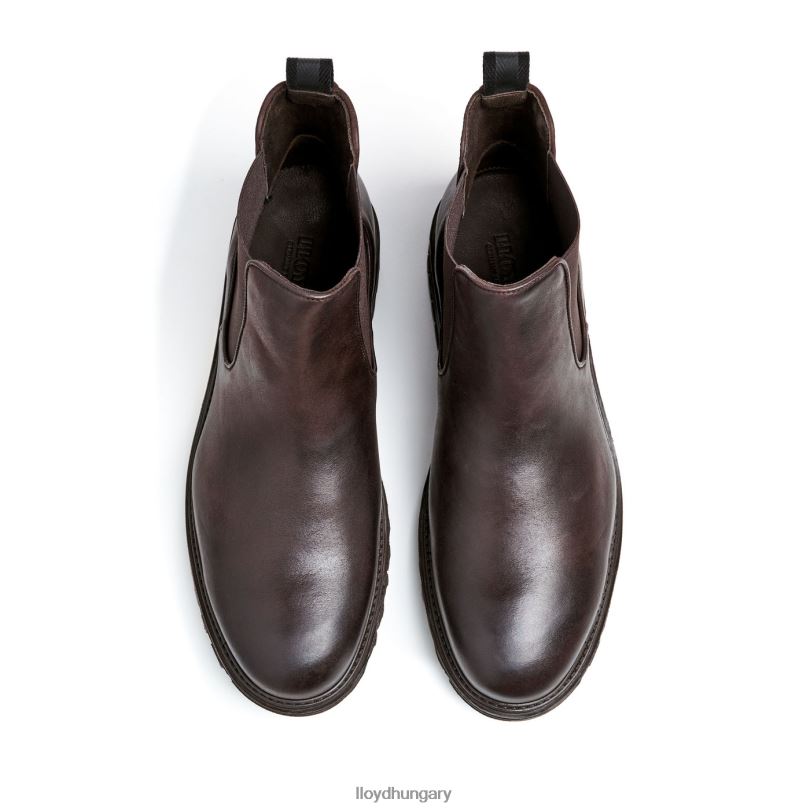 cipő HU LLOYD férfiak harwich barna 6444N478