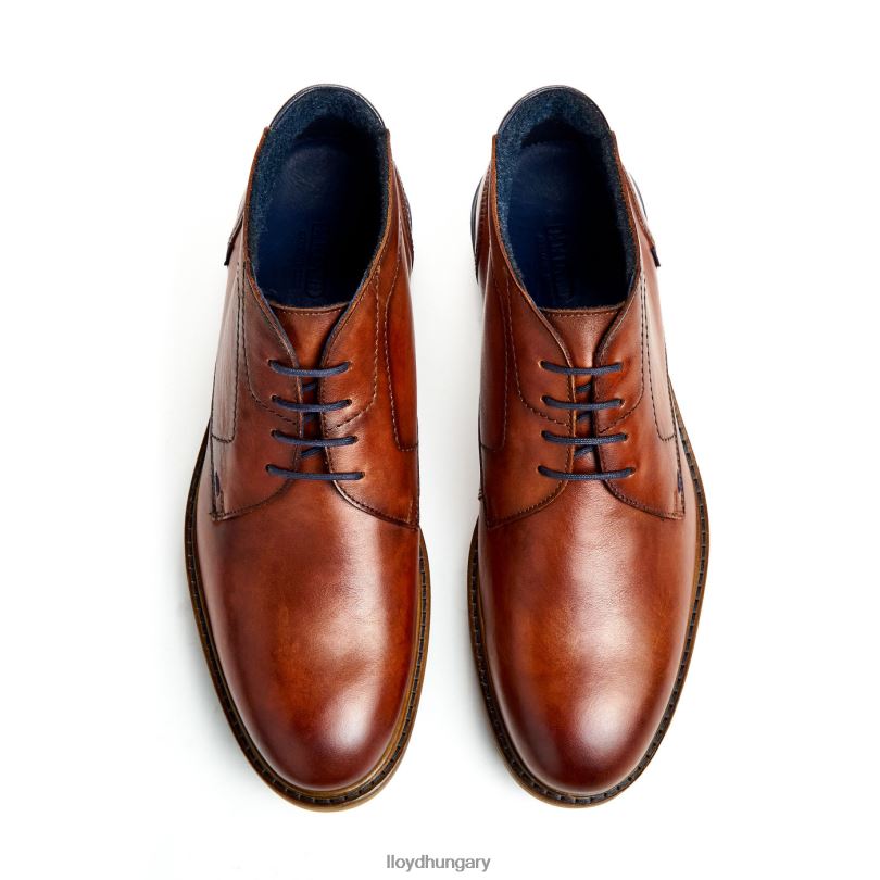 cipő HU LLOYD férfiak hengelo barna 6444N463