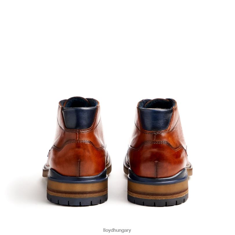 cipő HU LLOYD férfiak hengelo barna 6444N463