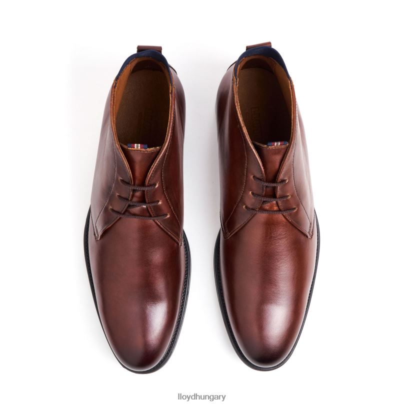 cipő HU LLOYD férfiak lapát barna 6444N131