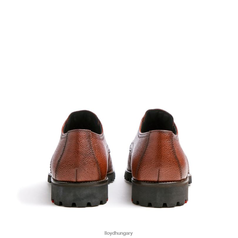 cipő HU LLOYD férfiak valdez barna 6444N161