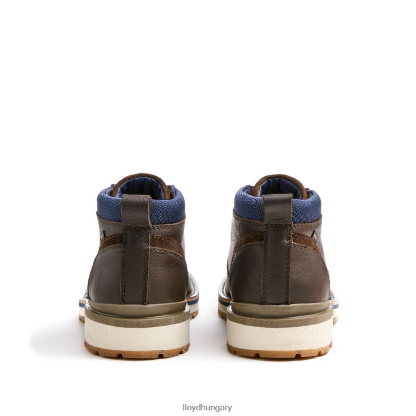 cipő HU LLOYD férfiak vegas barna 6444N512