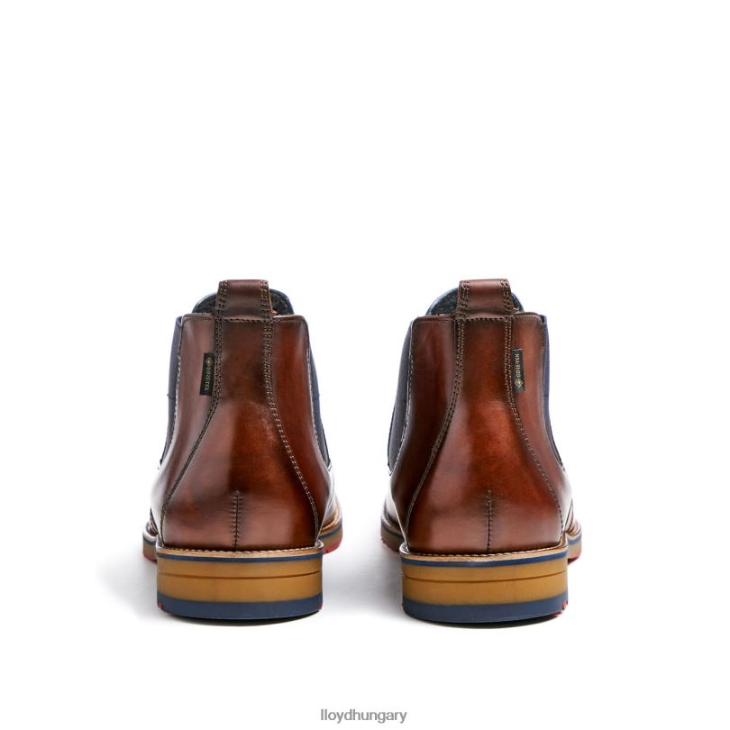 cipő HU LLOYD férfiak vesuv barna 6444N145