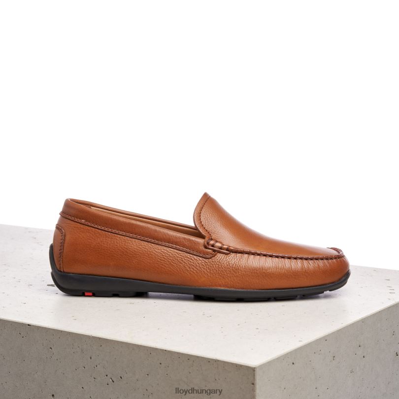cipő HU LLOYD férfiak Emilio barna 6444N603