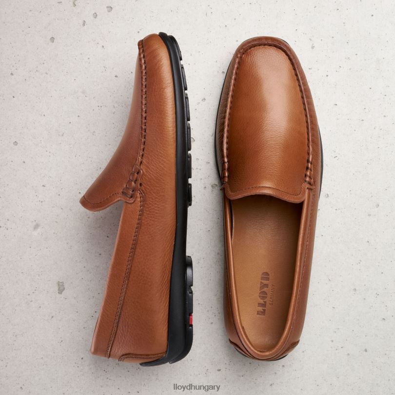 cipő HU LLOYD férfiak Emilio barna 6444N603