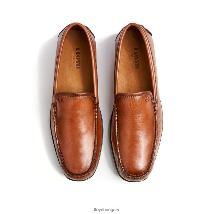 cipő HU LLOYD férfiak Emilio barna 6444N621