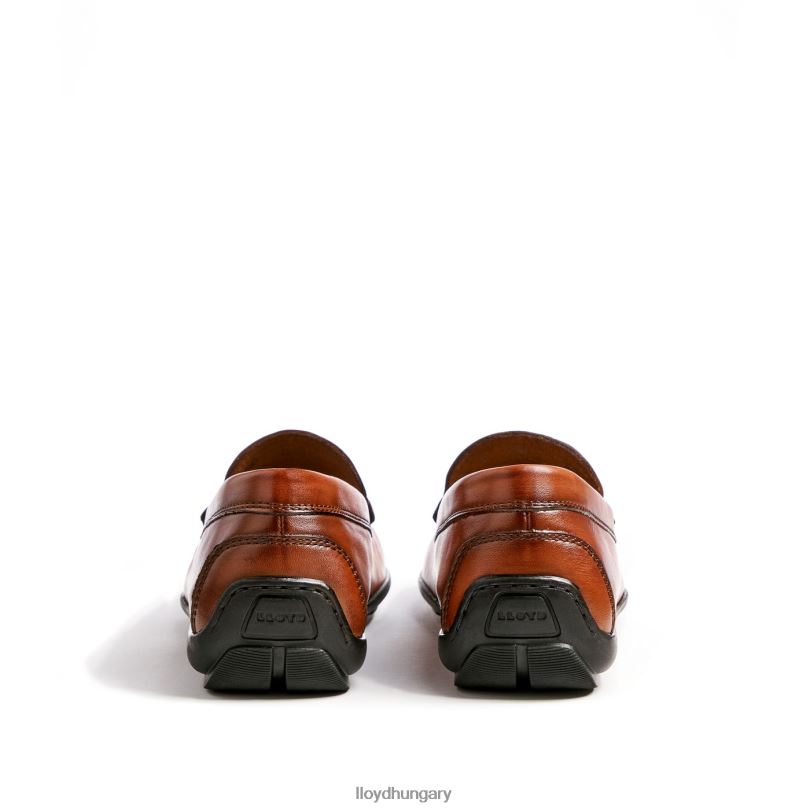 cipő HU LLOYD férfiak Emilio barna 6444N621