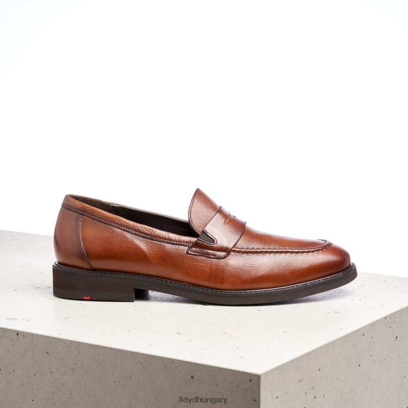 cipő HU LLOYD férfiak reg barna 6444N169