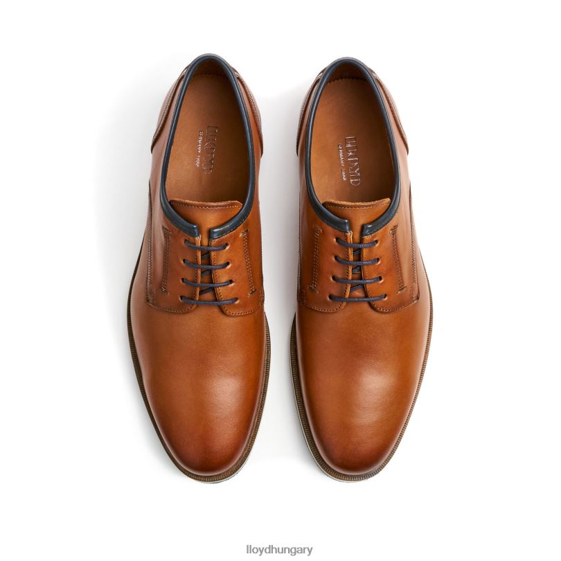 cipő HU LLOYD férfiak Detroit barna 6444N113