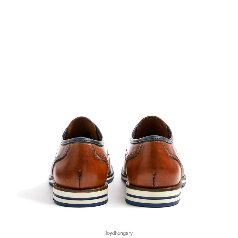 cipő HU LLOYD férfiak Detroit barna 6444N113