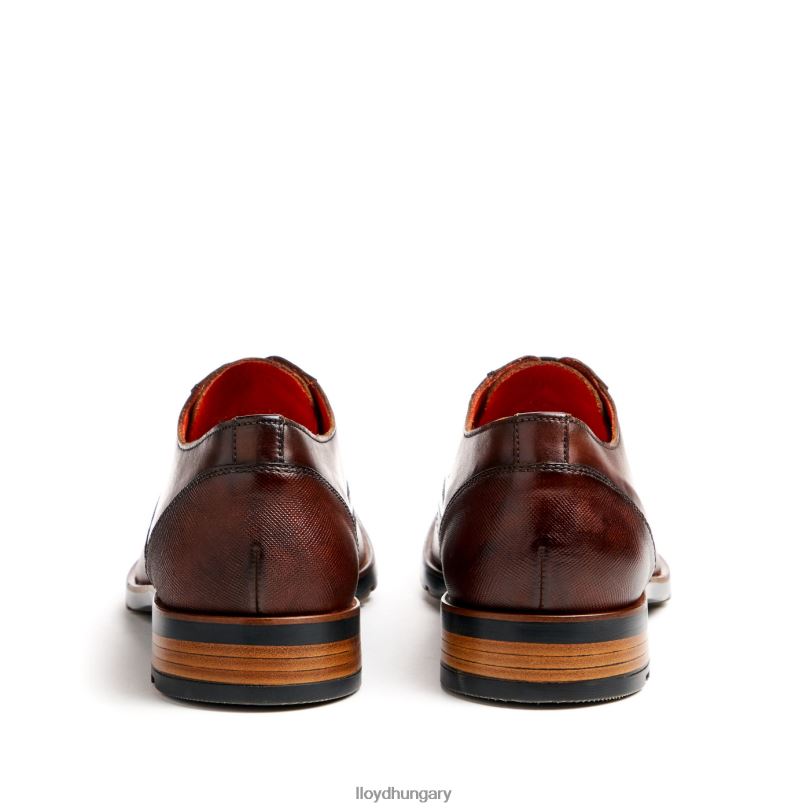 cipő HU LLOYD férfiak Jackson barna 6444N46