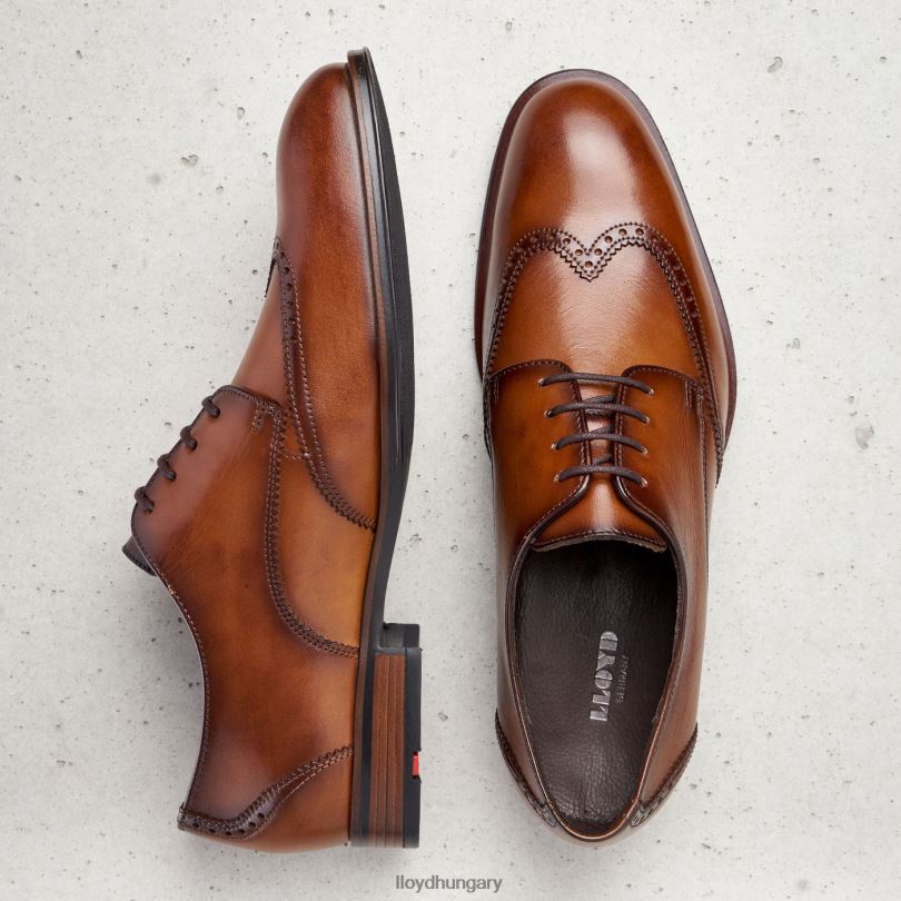 cipő HU LLOYD férfiak Sámson barna 6444N235