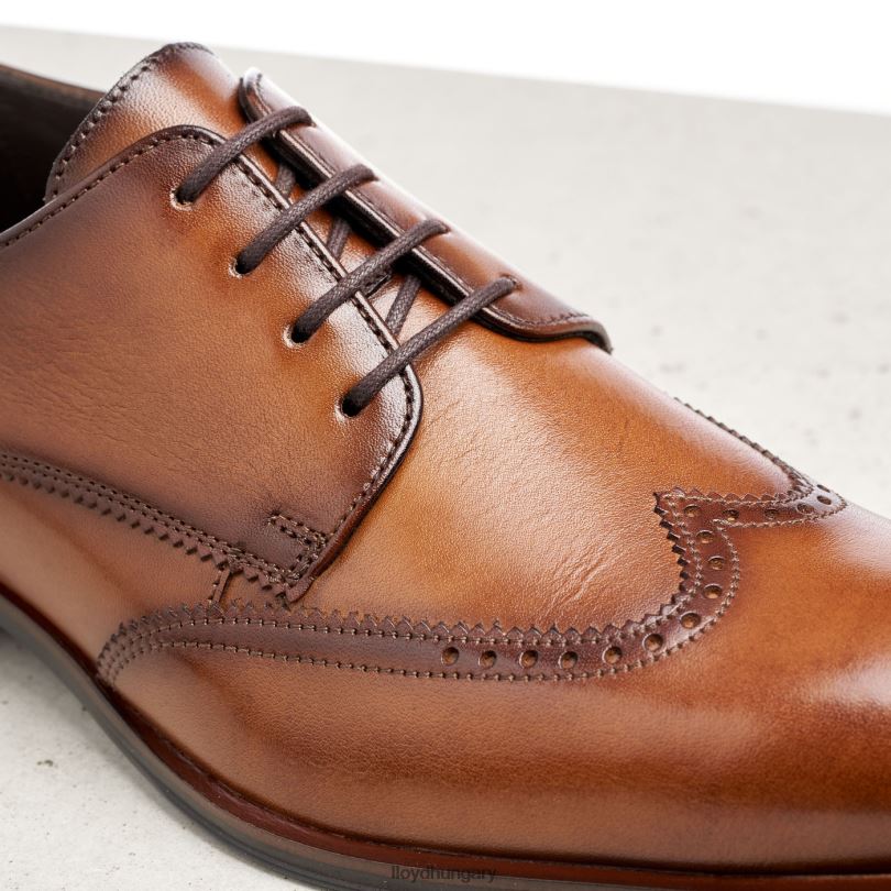 cipő HU LLOYD férfiak Sámson barna 6444N235