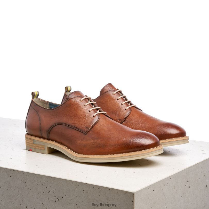 cipő HU LLOYD férfiak dakota barna 6444N608