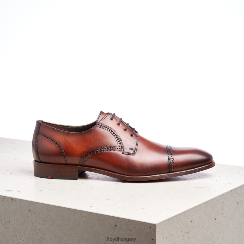 cipő HU LLOYD férfiak körtebor barna 6444N177