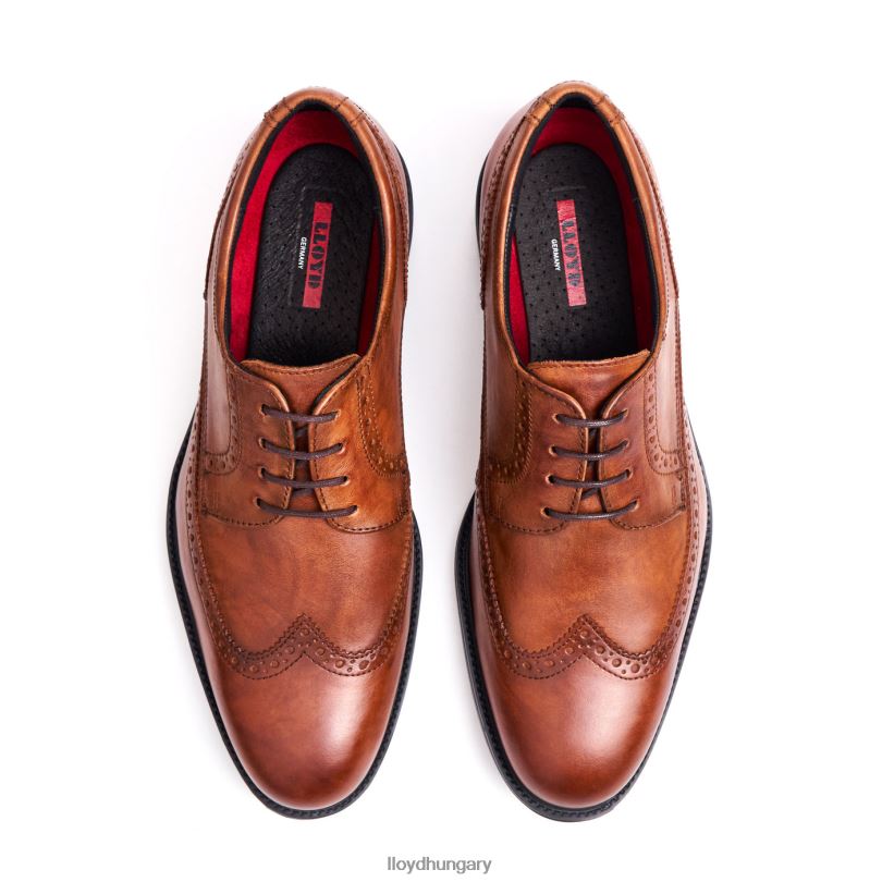 cipő HU LLOYD férfiak kaleb (xtrawide) barna 6444N20