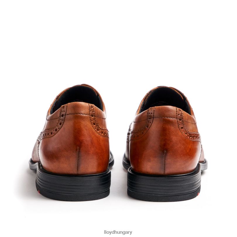 cipő HU LLOYD férfiak kaleb (xtrawide) barna 6444N20