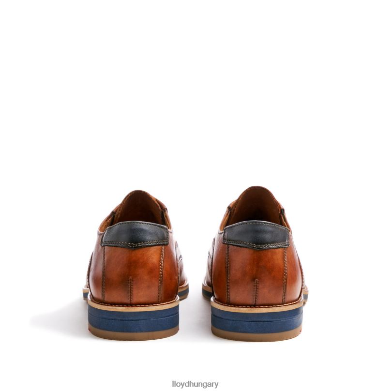 cipő HU LLOYD férfiak kazan (xtrawide) barna 6444N110