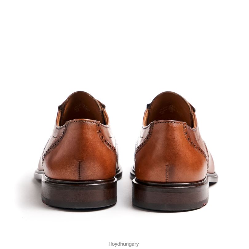 cipő HU LLOYD férfiak koog (xtrawide) barna 6444N75