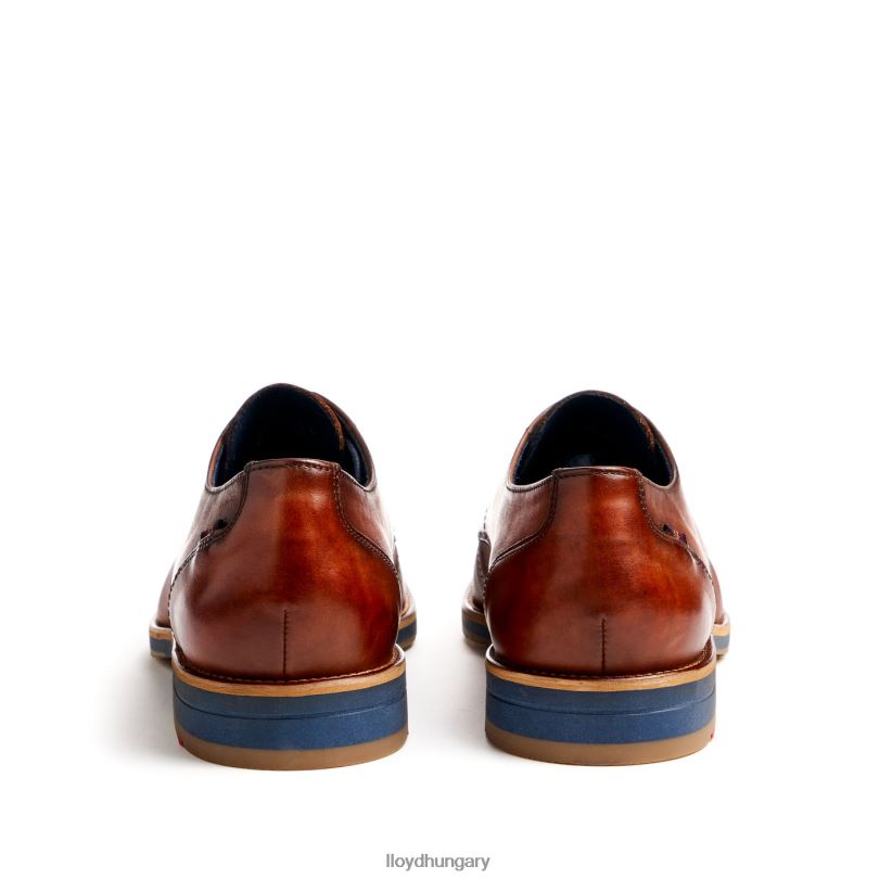 cipő HU LLOYD férfiak laval barna 6444N41