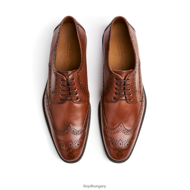 cipő HU LLOYD férfiak lucien barna 6444N574