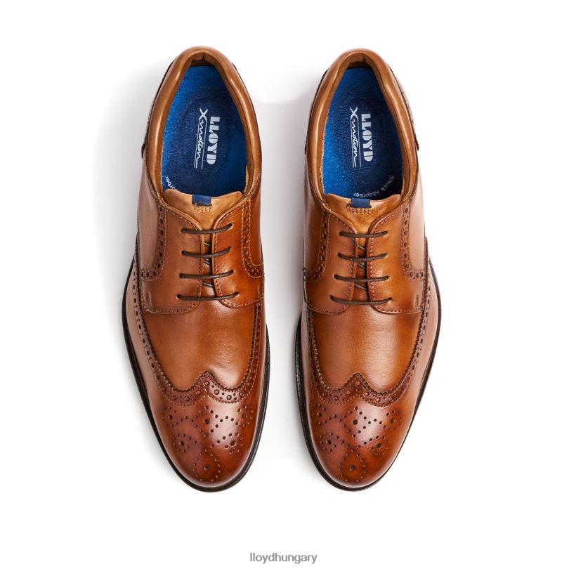 cipő HU LLOYD férfiak marian barna 6444N141