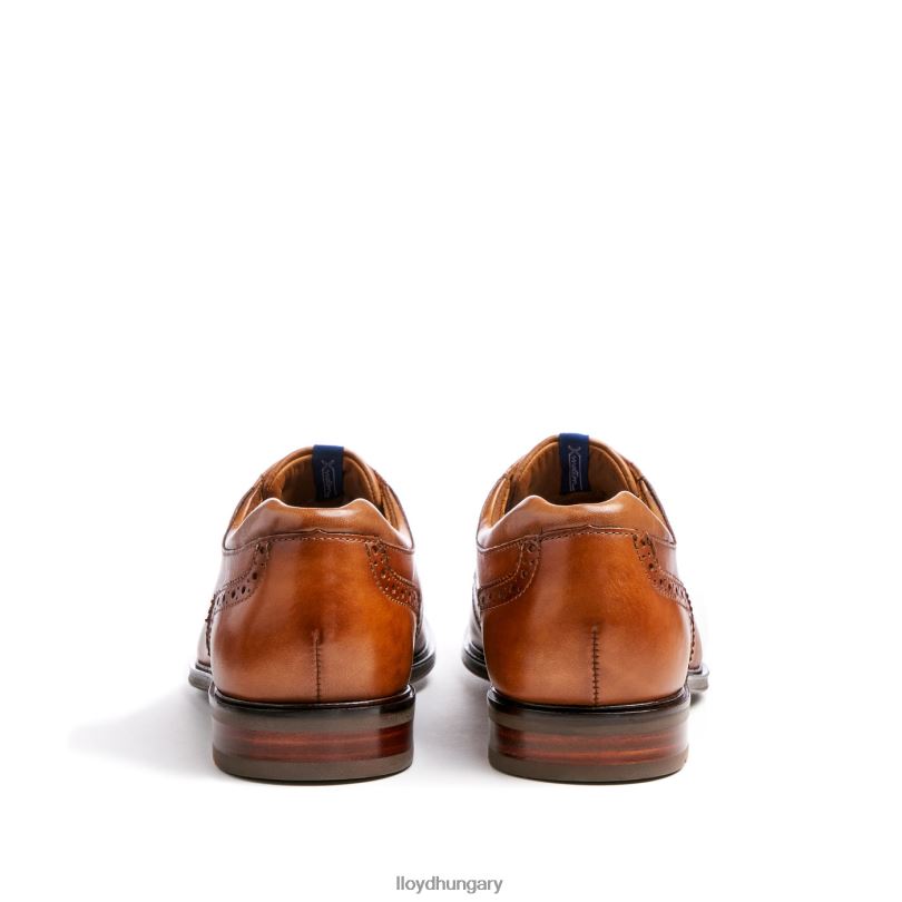 cipő HU LLOYD férfiak marian barna 6444N141