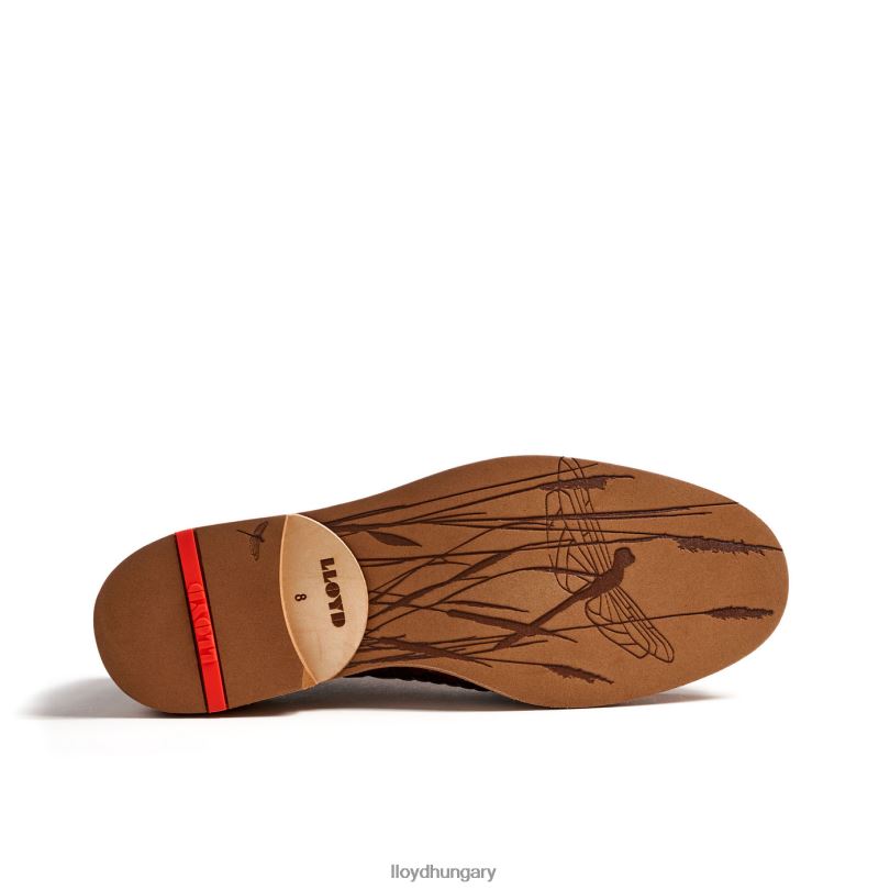 cipő HU LLOYD férfiak olos barna 6444N173