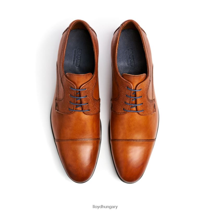 cipő HU LLOYD férfiak orwin barna 6444N95