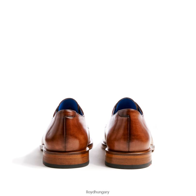 cipő HU LLOYD férfiak rick barna 6444N216