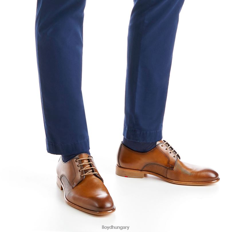 cipő HU LLOYD férfiak saigon barna 6444N158