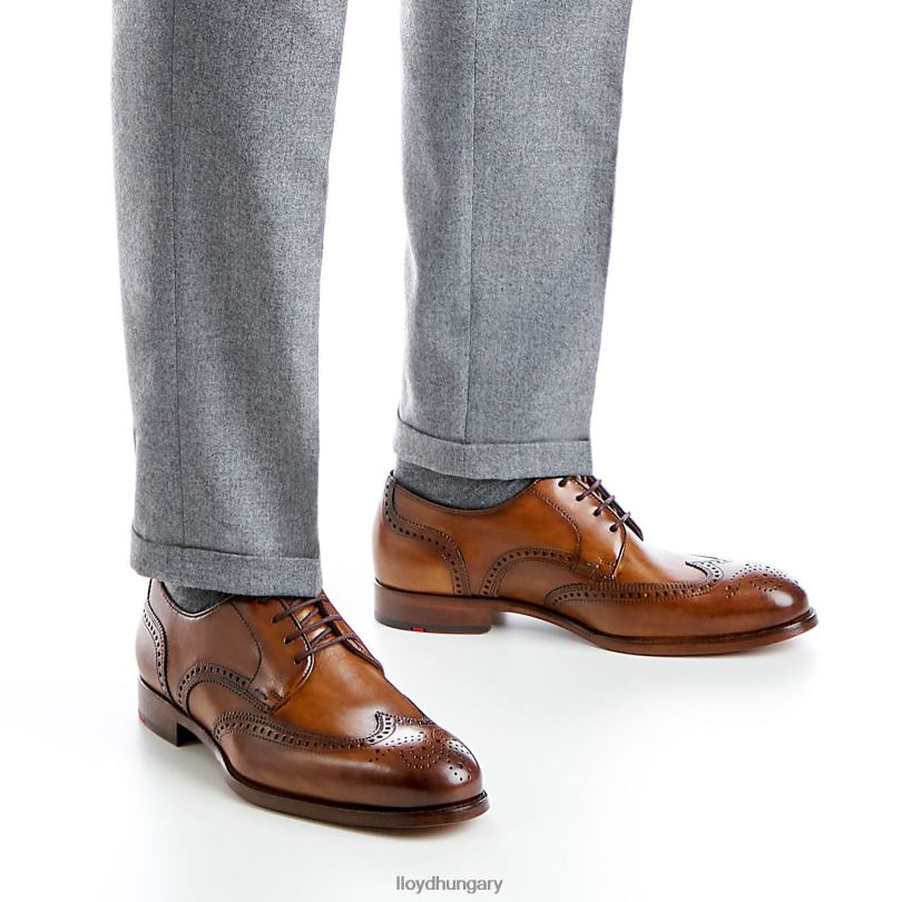 cipő HU LLOYD férfiak sheridan barna 6444N205