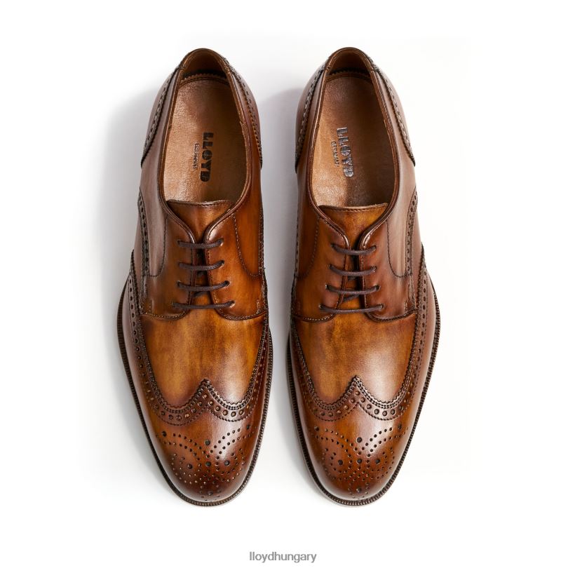 cipő HU LLOYD férfiak sheridan barna 6444N205