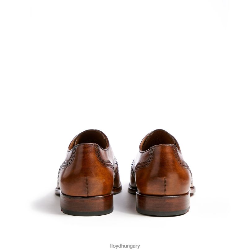 cipő HU LLOYD férfiak sheridan barna 6444N205