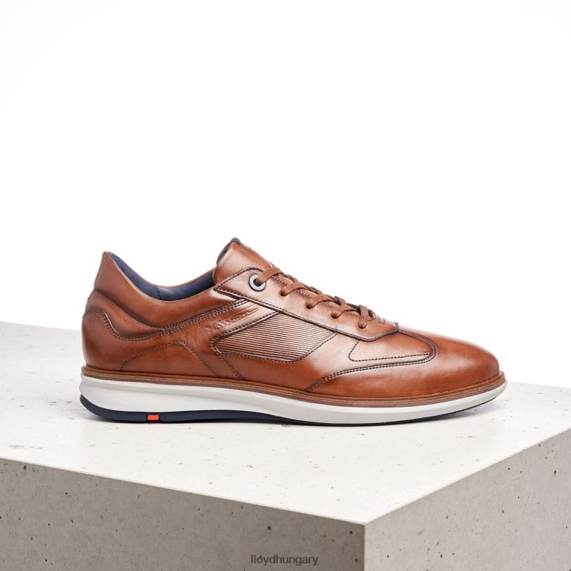 cipő HU LLOYD férfiak szőnyegek barna 6444N261